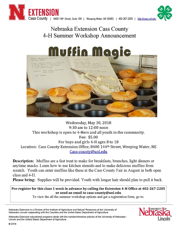 Muffin Magic Workshop 2018