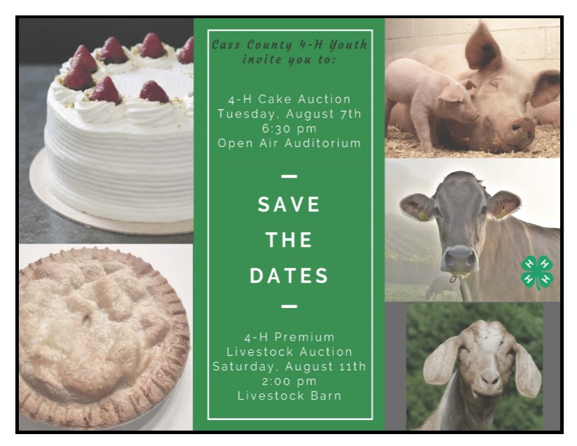 Livestock Cake Auction Postcard Invitation 2018